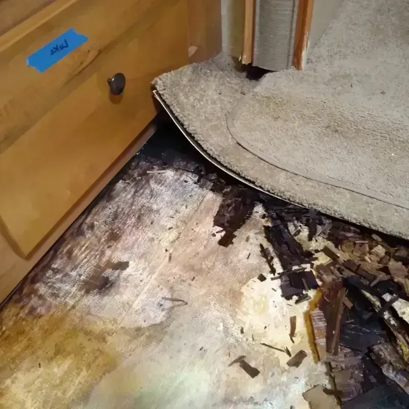 Wood Floor Water Damage in Elmwood, IL